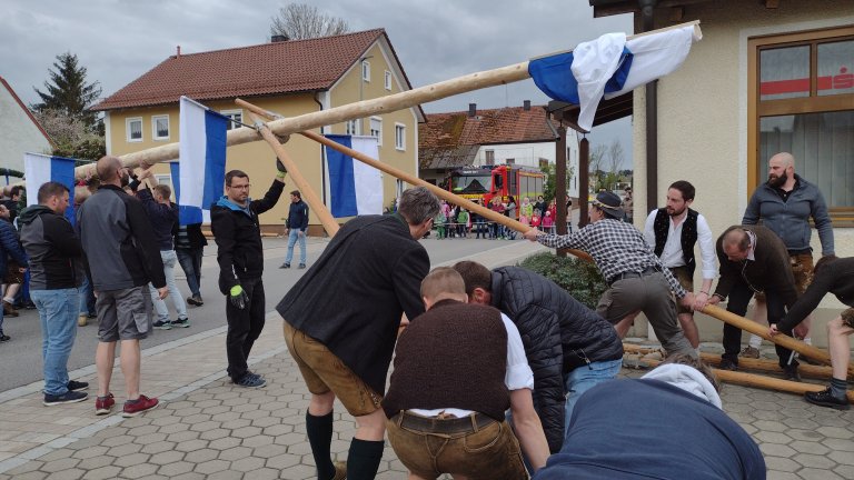 Maibaum Train5