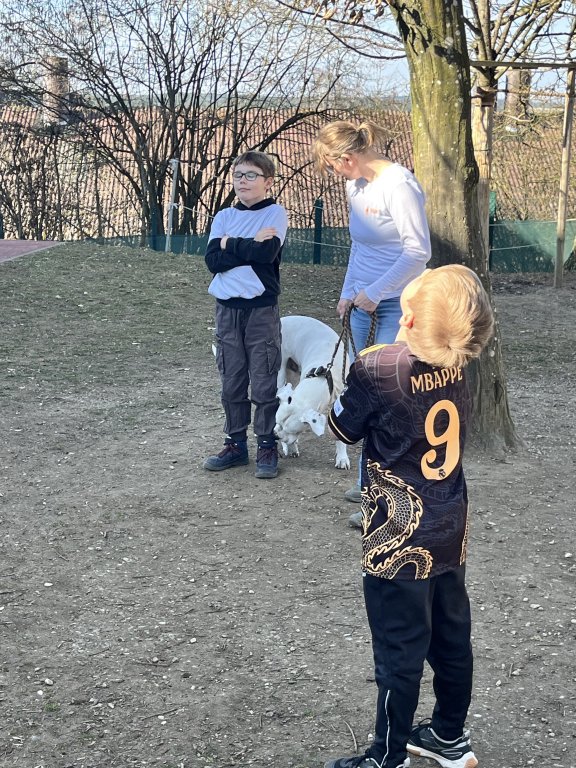 WuffAG_Schnuppern