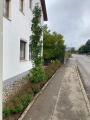 Neues Grün Neues Grün